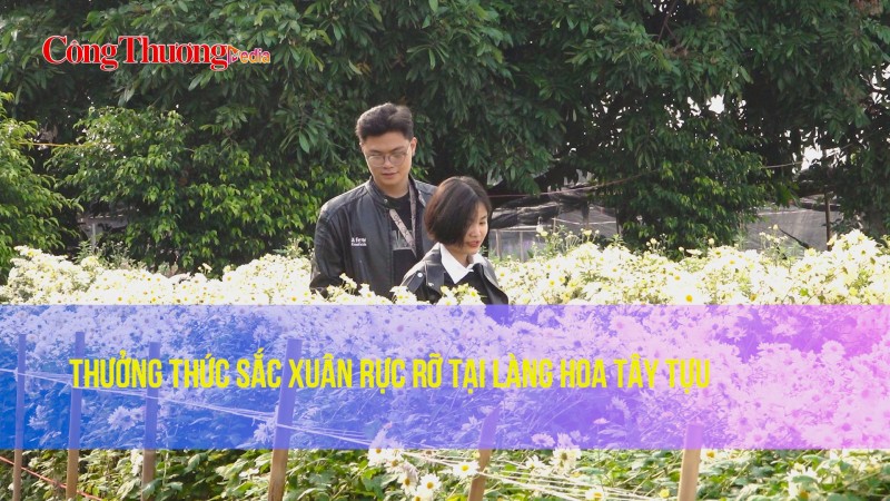 Thưởng thức sắc xuân rực rỡ tại làng hoa Tây Tựu