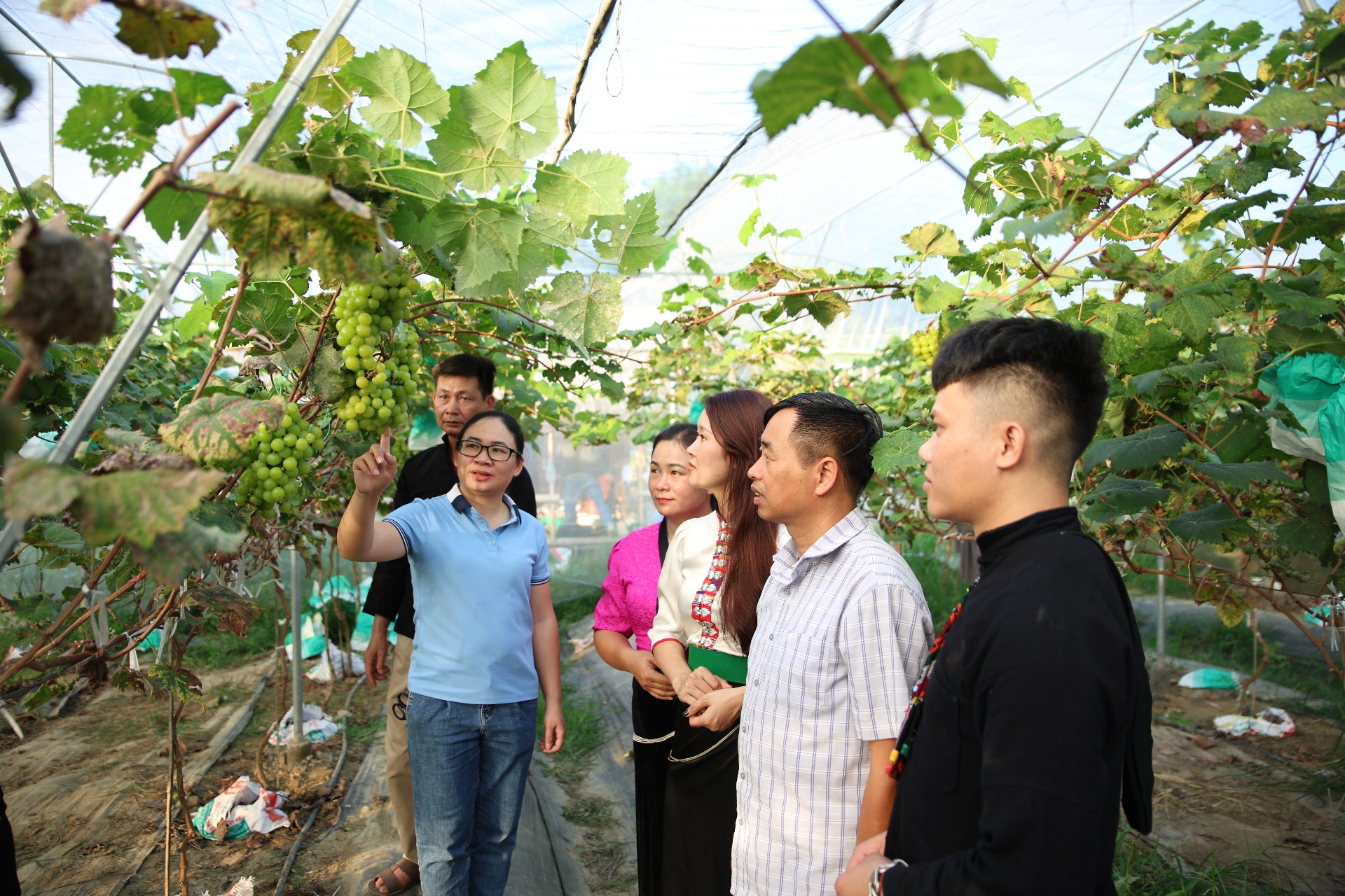Đồng bào dân tộc miền núi Lai Châu chuyển mình làm Okvip - liên minh giải trí #1 thế giới hà nội hàng hóa