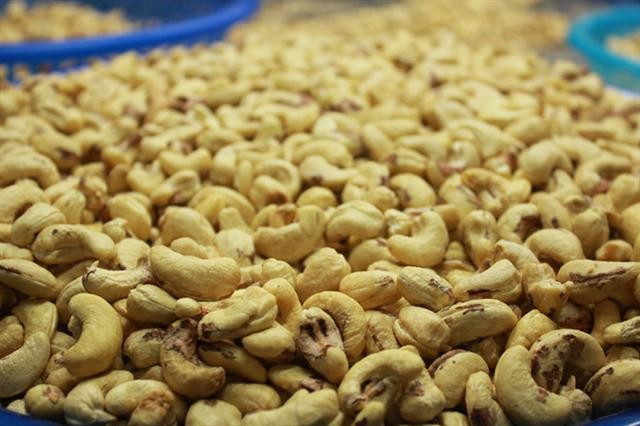 Điểm tên 5 thị trường mua nhiều nhất hạt điều của Việt Nam