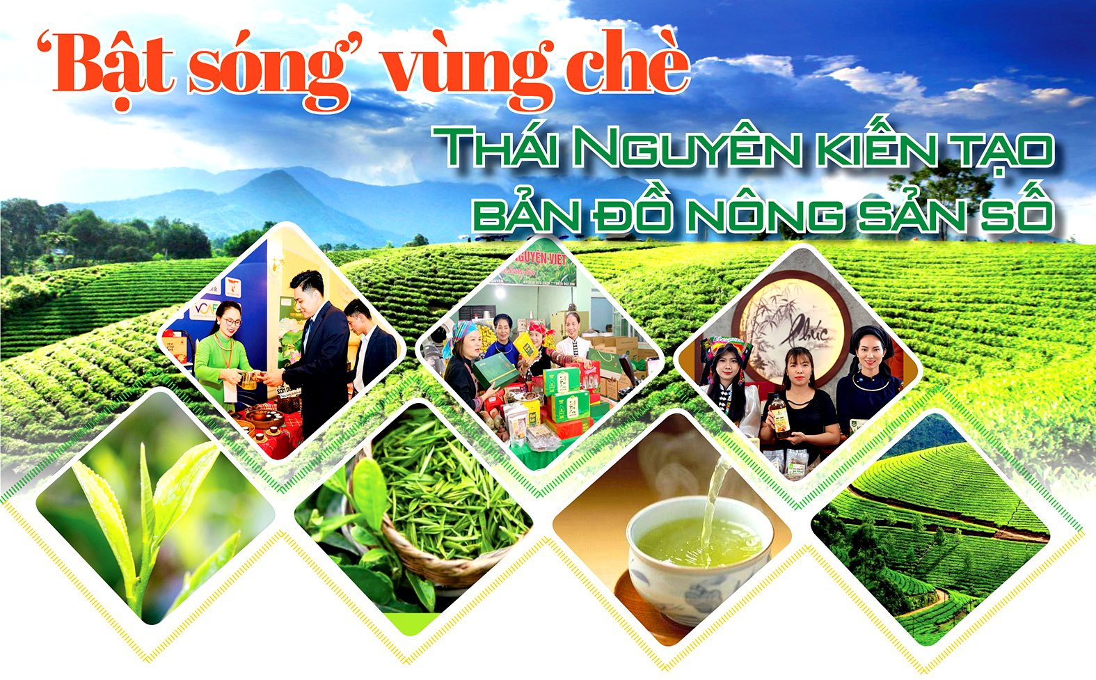 Longform | ‘Bật sóng’ vùng chè, Thái Nguyên kiến tạo bản đồ Trang Chủ OKVIP COM Top #1 số
