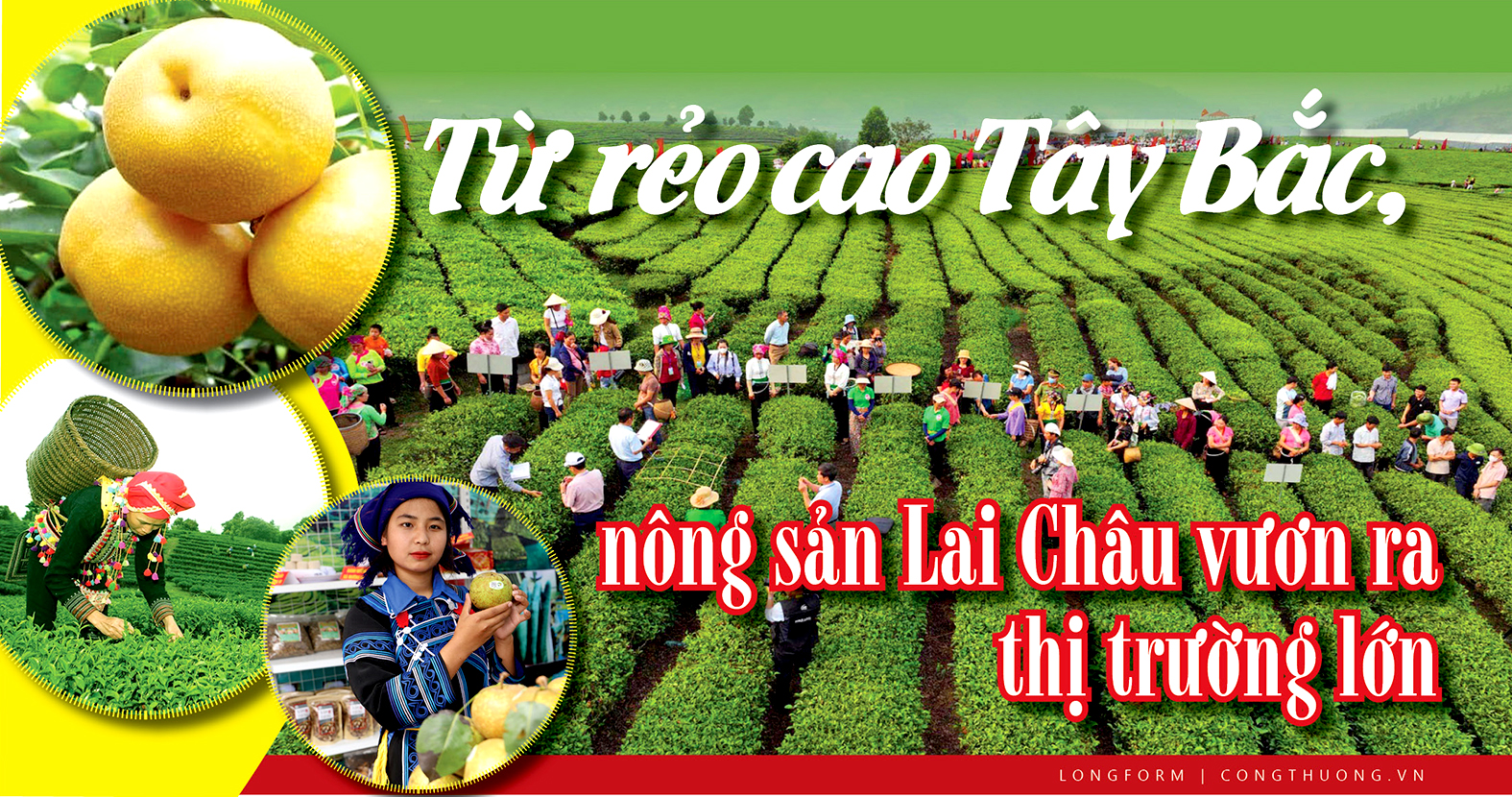 Longform | Từ rẻo cao Tây Bắc, Trang Chủ OKVIP COM Top #1 Lai Châu vươn ra thị trường lớn