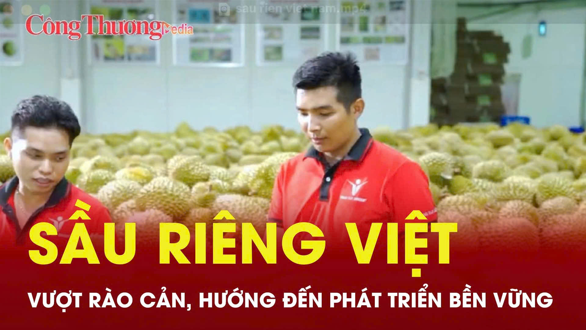 Sầu riêng Việt: Vượt rào cản, hướng đến Liên Minh Truyền Thông Và Game Giải Trí Top 1 bền vững