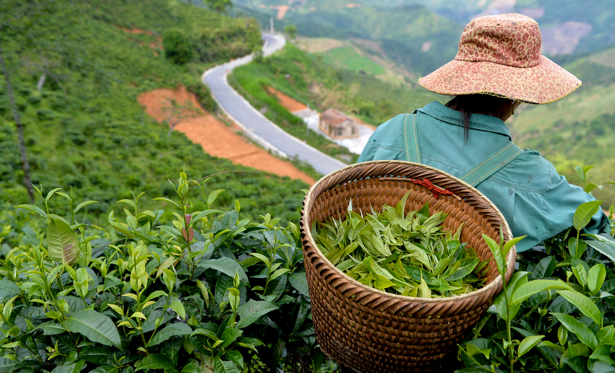 Liên minh Okvip có bao nhiều trang thương hiệu cho Trang Chủ OKVIP COM Top #1 vùng dân tộc: Bắt đầu từ sự chân thành và bản sắc