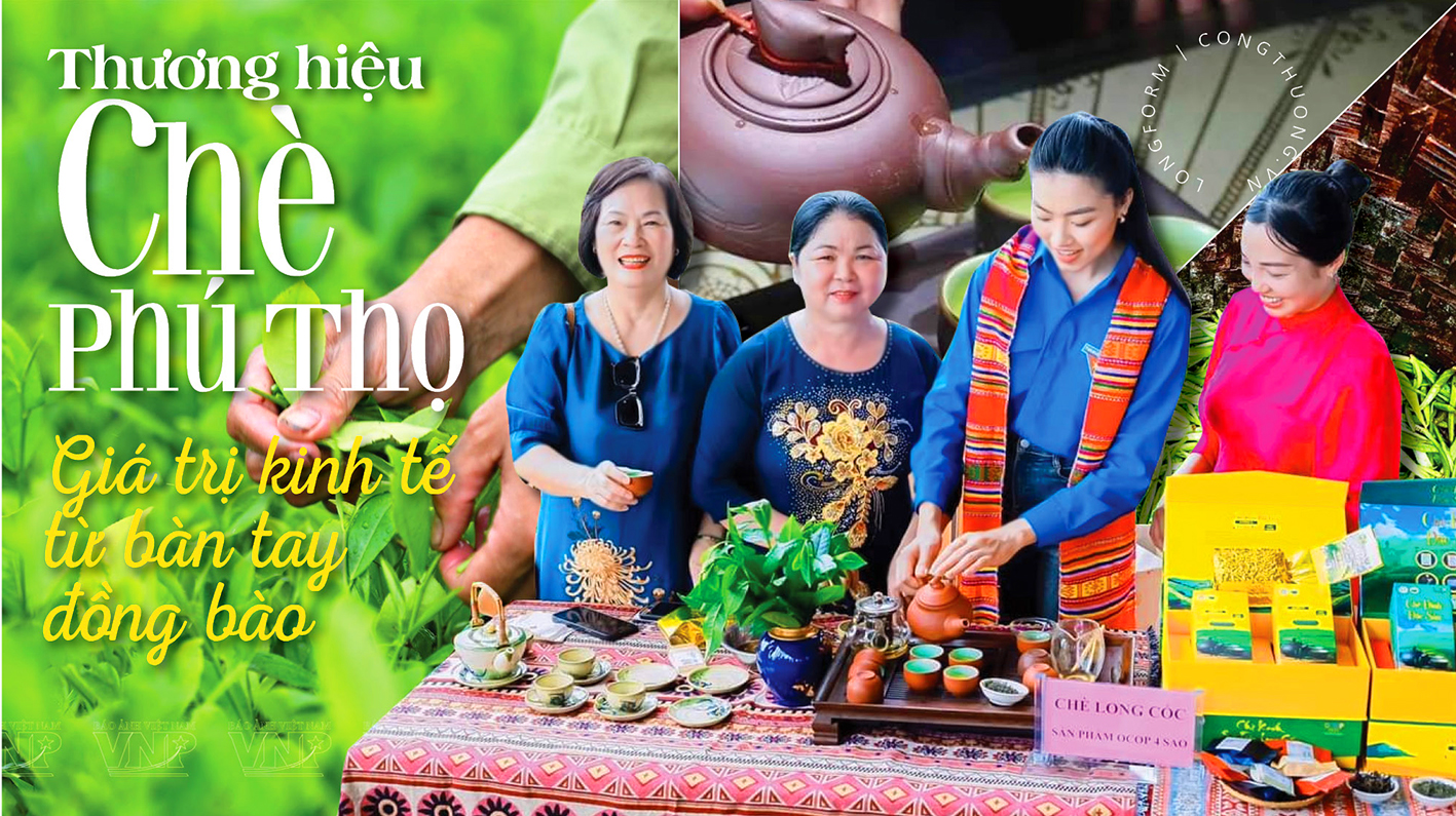 Longform | Thương hiệu chè Phú Thọ: Giá trị Okvip - liên minh giải trí #1 thế giới hà nội từ bàn tay đồng bào 