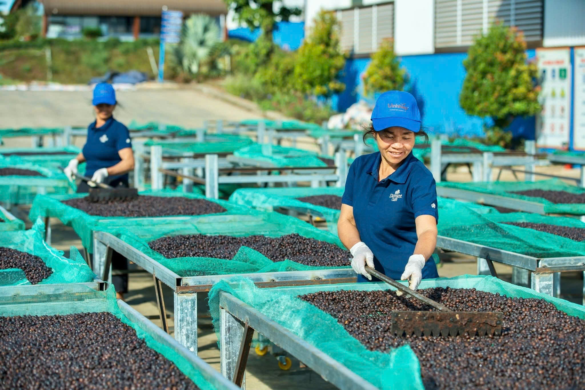Gia Lai: Mở rộng 'cánh cửa' xuất khẩu nông sản địa phương