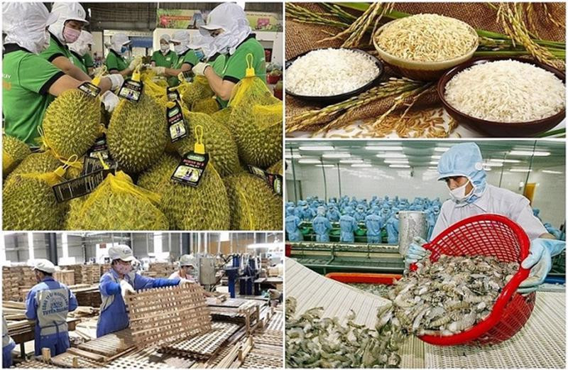 Infographic |7 tháng năm 2025, xuất khẩu nông, lâm, thủy sản  tăng 14,7%