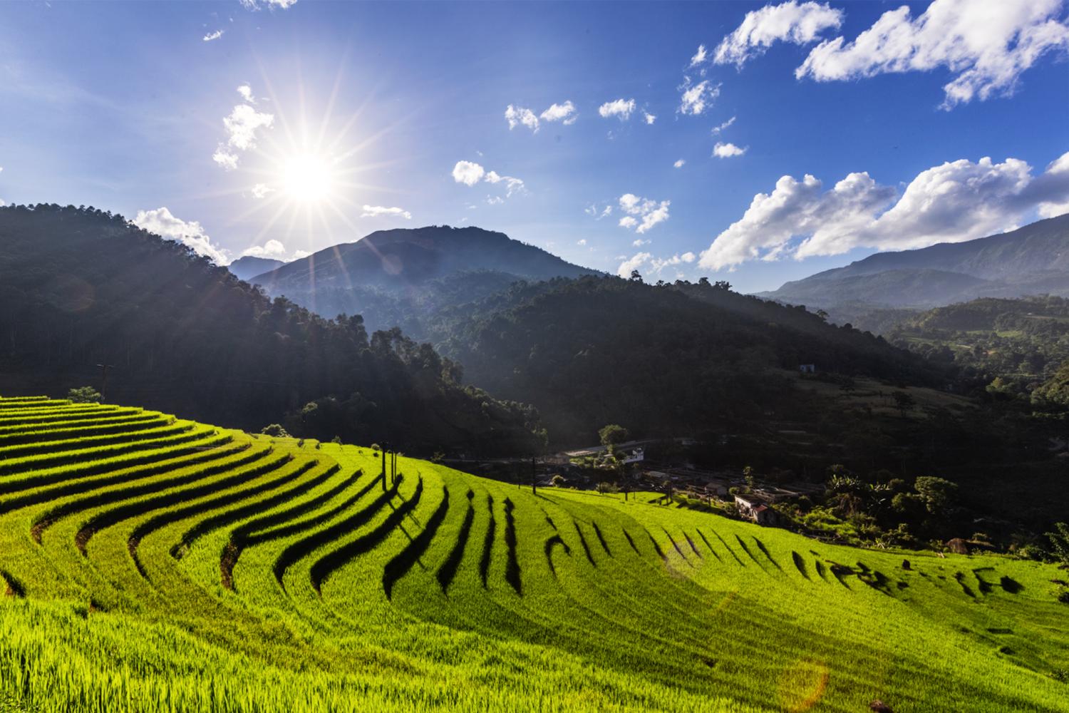 Dền Sáng (Lào Cai): Phát triển Okvip - liên minh giải trí #1 thế giới hà nội từ ‘đòn bẩy' OKLVIE sản phẩm thuộc hệ thống OKVIP là trang web tổ chức phát sóng bóng đá trực tiếp, live casino , nỗ hũ, bắn cá cộng đồng