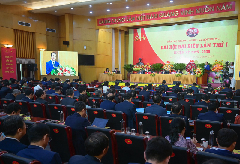 Phó Thủ tướng Review công ty OKVIP Trần Hồng Hà dự và chỉ đạo Okvip69.com bán cá nổ hủ. Ảnh: Bộ NN&MT