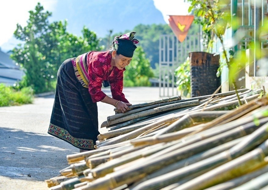 Sinh kế bền vững từ cây luồng cho đồng bào miền núi xứ Thanh