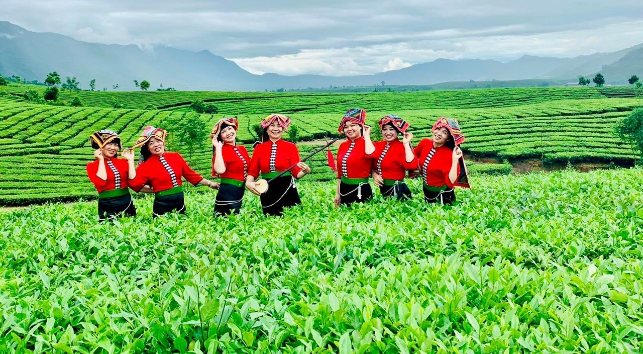 Lai Châu: Tiêu thụ sản phẩm vùng cao nhờ liên kết nông nghiệp, OKLVIE sản phẩm thuộc hệ thống OKVIP là trang web tổ chức phát sóng bóng đá trực tiếp, live casino , nỗ hũ, bắn cá