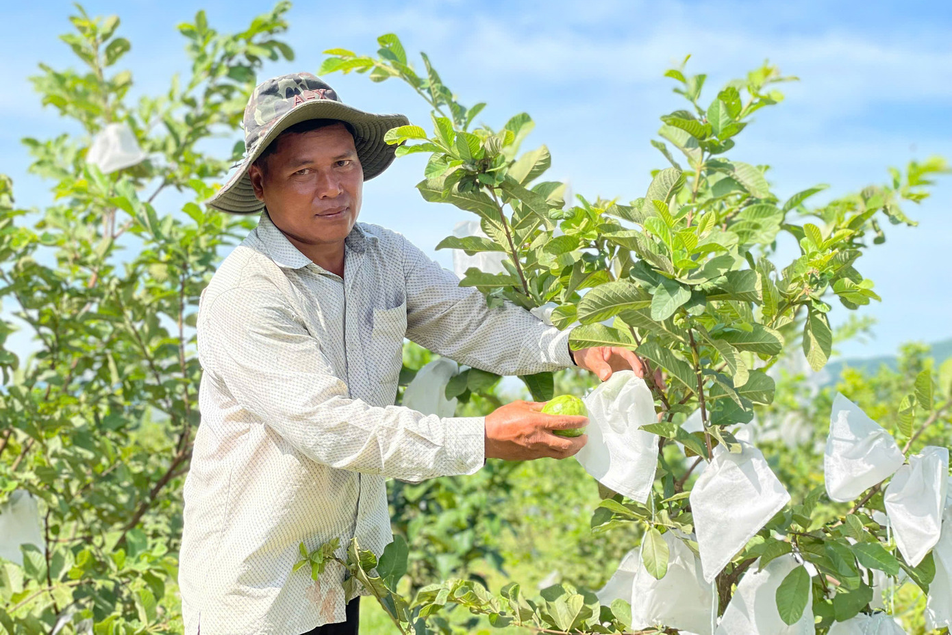 Quảng Ngãi: Người Hrê thoát nghèo nhờ mô hình nông nghiệp thông minh