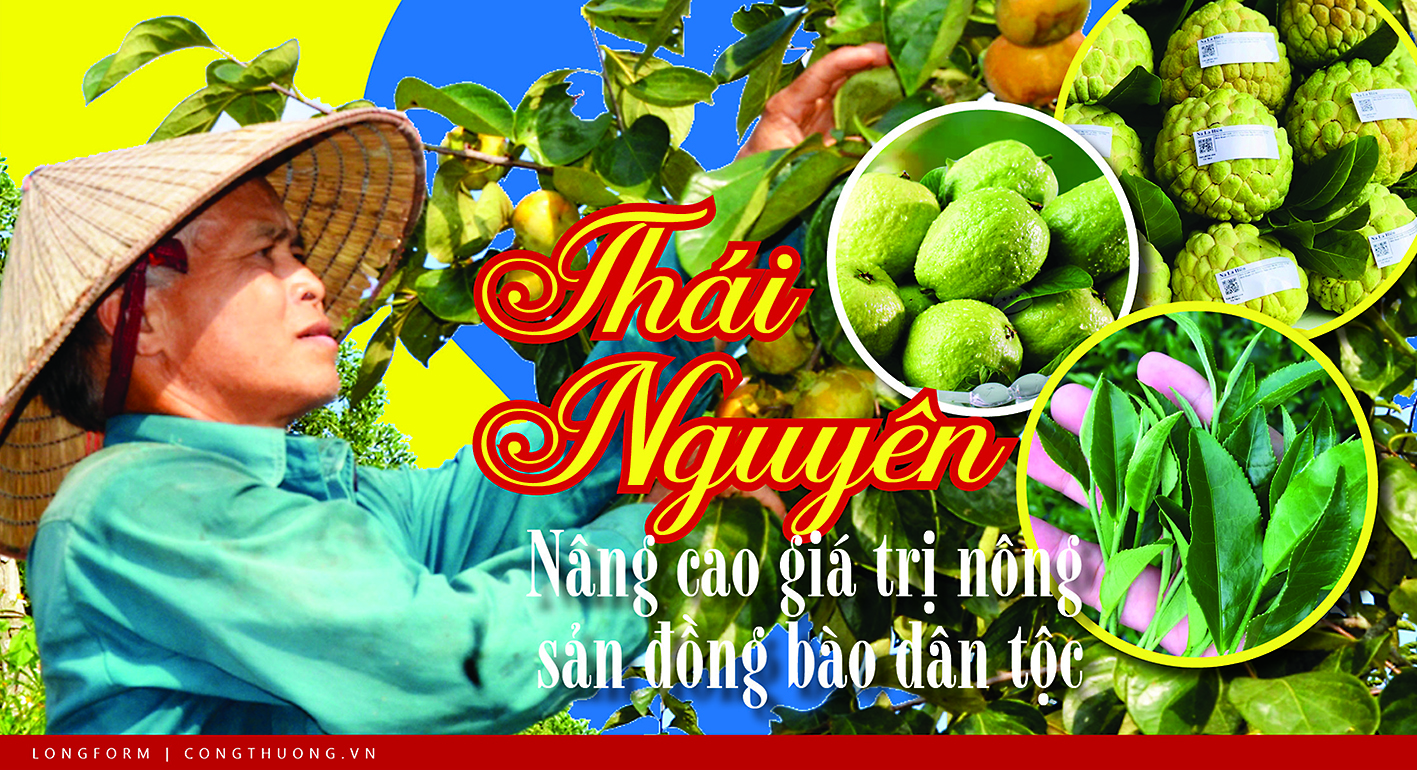 Longform | Thái Nguyên: Nâng cao giá trị nông sản đồng bào dân tộc