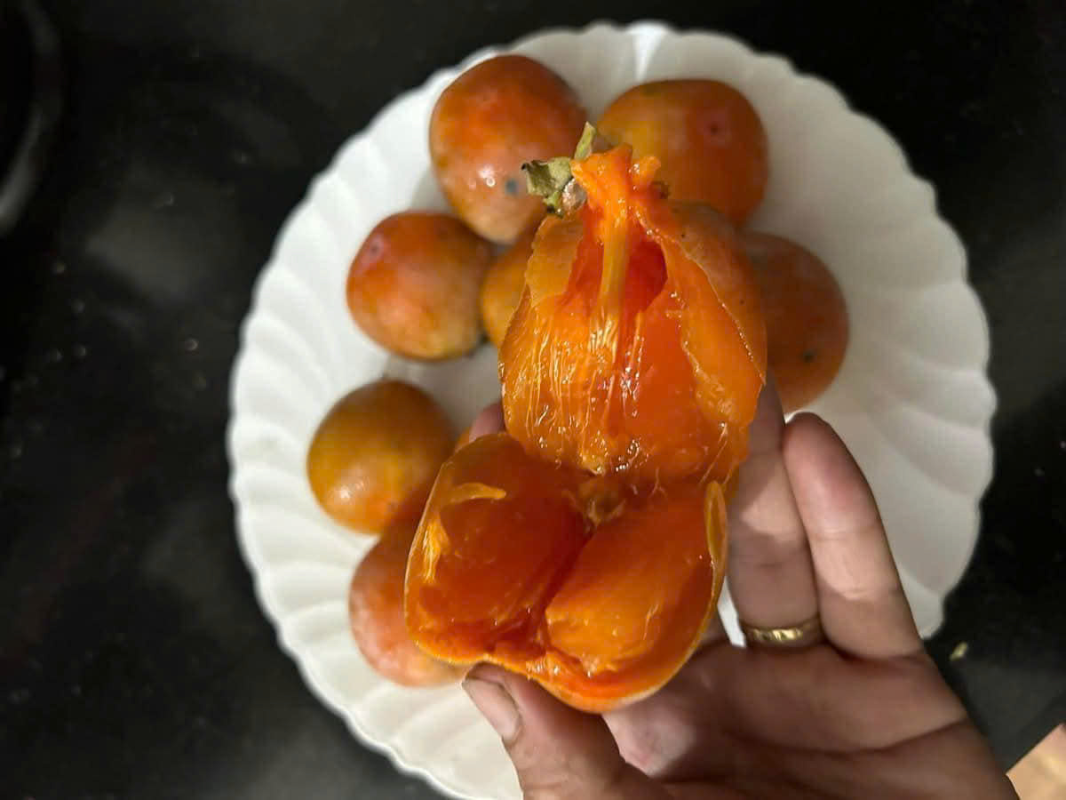 Hồng Bảo Hà - Lối thoát nghèo từ đất thiêng Lào Cai