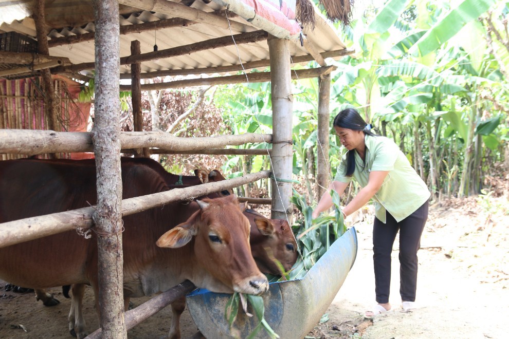 Lạng Sơn tạo chuyển biến mạnh mẽ trong giảm nghèo bền vững