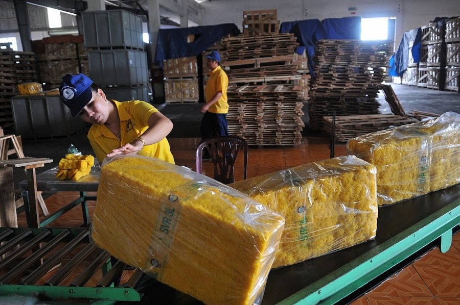 Việt Nam chi gần 2 tỷ USD nhập khẩu cao su trong 8 tháng đầu năm