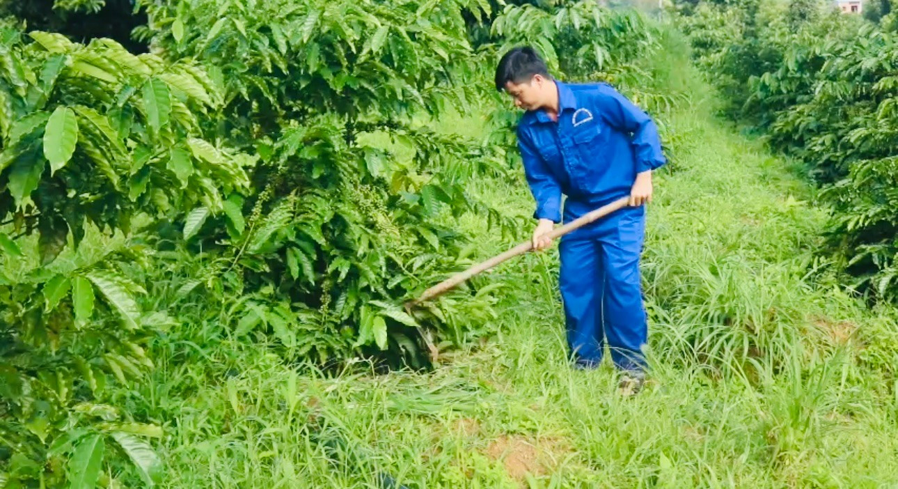 Nhân rộng mô hình Okvip - liên minh giải trí #1 thế giới hà nội để Quảng Ngãi không hộ nghèo vào năm 2030