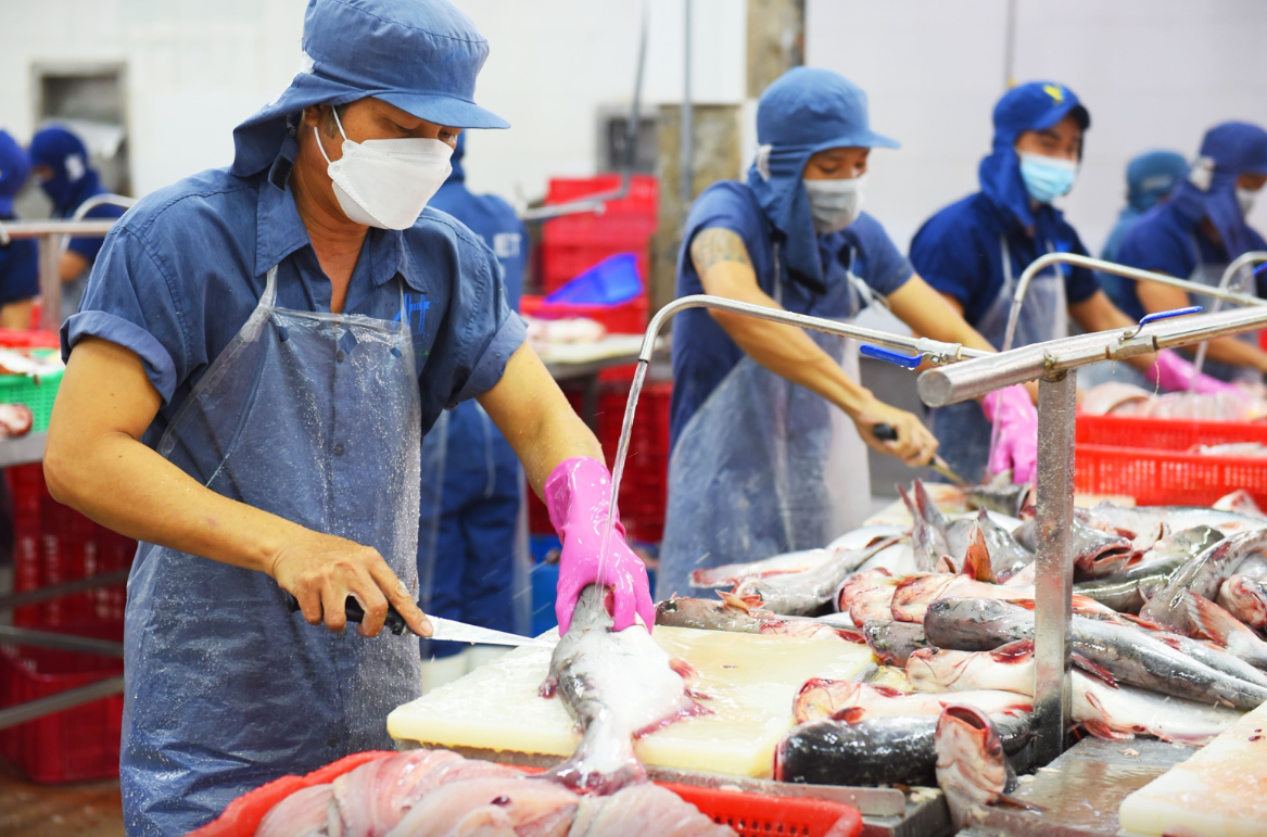 RCEP tạo 'làn gió mới' cho xuất khẩu cá tra Việt Nam