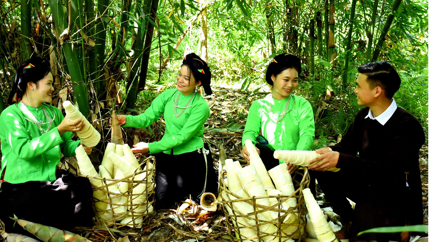 Lào Cai: Xây dựng thương hiệu, nâng cao giá trị cho măng Lâm Thượng