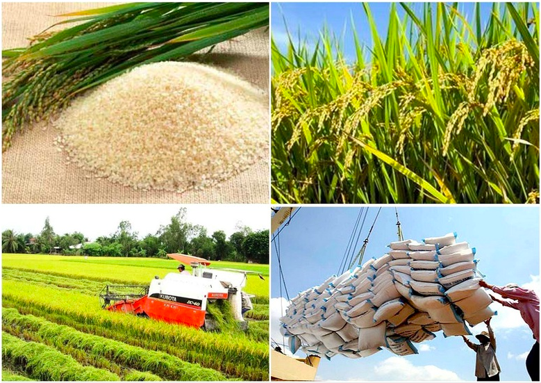 Tập đoàn Toàn Cầu: Kiến tạo nền nông nghiệp minh bạch và thịnh vượng