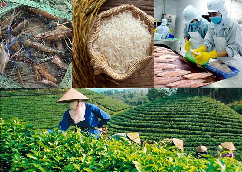Infographic | Những nhóm hàng xuất khẩu lớn nhất của ngành nông nghiệp