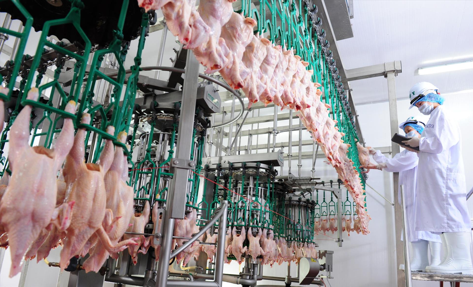 Xuất khẩu sản phẩm chăn nuôi Việt Nam dự kiến vượt 600 triệu USD