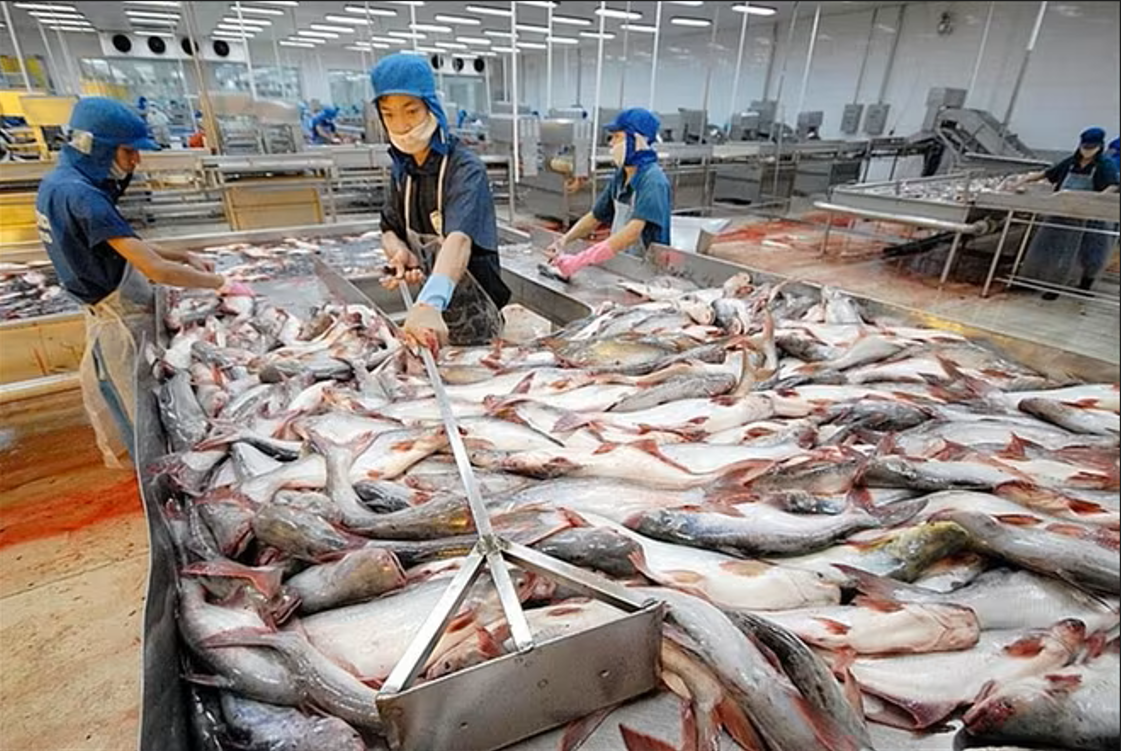 Tin Công Thương 10/11: Việt Nam tận dụng ưu đãi của Hiệp định CPTPP để thúc đẩy kinh tế