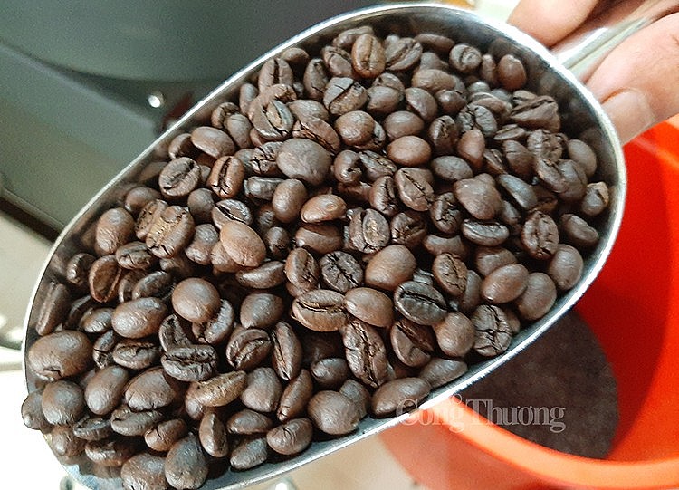 Thị trường Đức tăng nhập khẩu cà phê từ Việt Nam