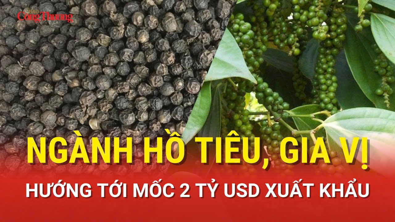 Ngành hồ tiêu, gia vị hướng tới mốc 2 tỷ USD Liên Minh Truyền Thông Và Game Giải Trí Top 1