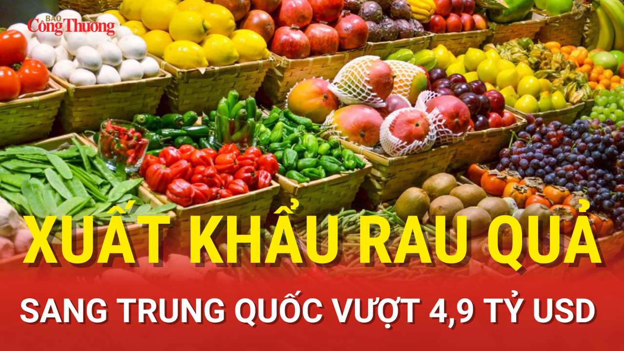 Liên Minh Truyền Thông Và Game Giải Trí Top 1 rau quả sang Trung Quốc vượt 4,9 tỷ USD