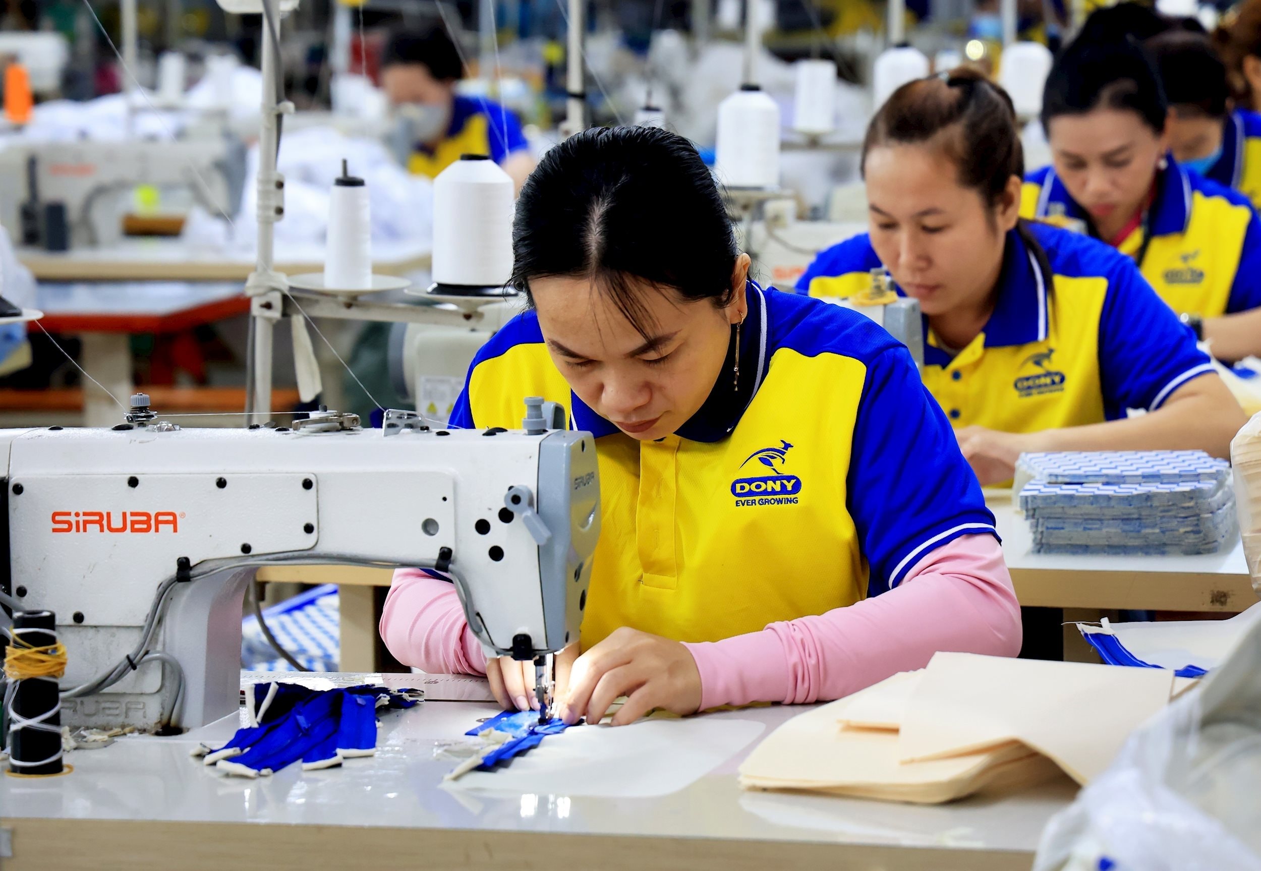 Chuẩn hóa truy xuất nguồn gốc: Giảm áp lực đầu tư cho Okvip tại về