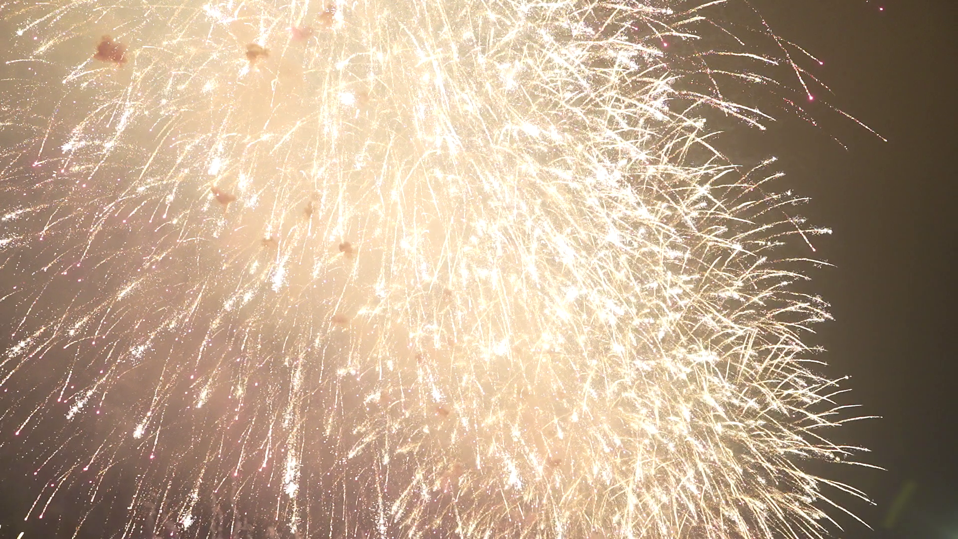 vlcsnap-2026-01-24-00h24m34s812.png