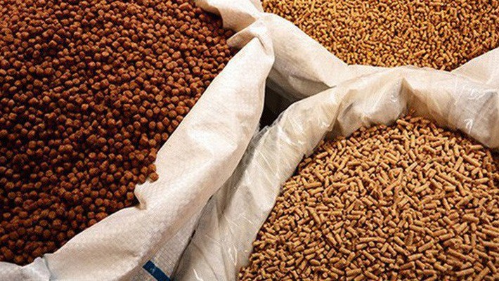 Thị trường thức ăn gia súc biến động mạnh trong năm 2025