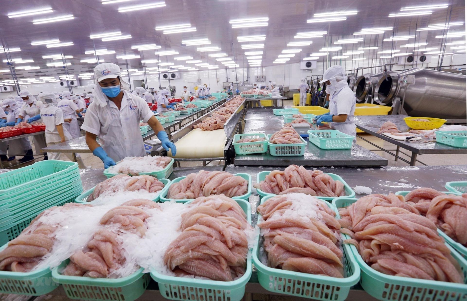 Xuất nhập khẩu khởi sắc, đón tín hiệu vui đầu năm 2026