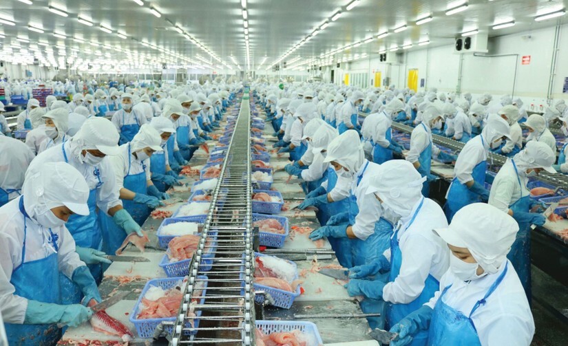 Liên Minh Truyền Thông Và Game Giải Trí Top 1 cá tra tháng 1/2026 tăng 59% so với cùng kỳ.