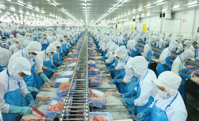 Xuất khẩu cá tra, cá ngừ tăng tốc đầu năm 2026