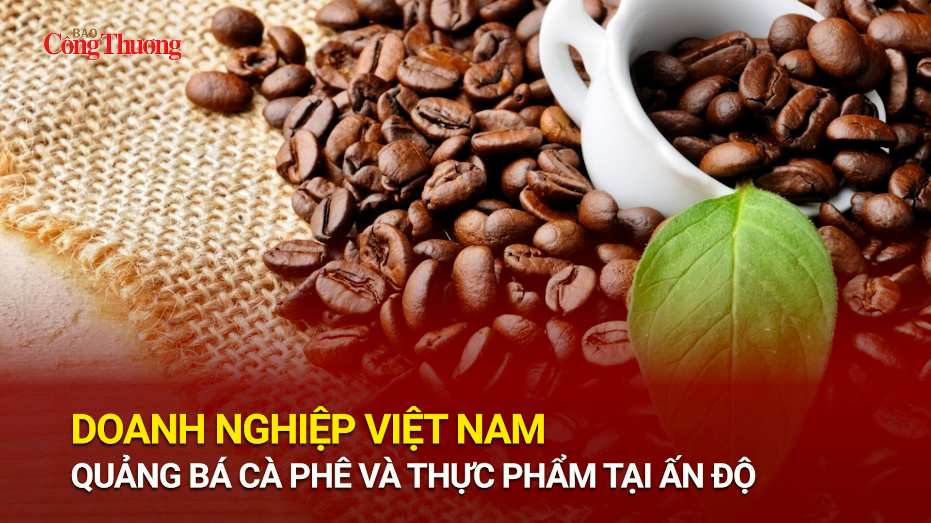 Okvip tại về Việt Nam quảng bá cà phê và Okivip Nổ Hũ, Bắn Cá, Thể Thao, Game Bài tại Ấn Độ