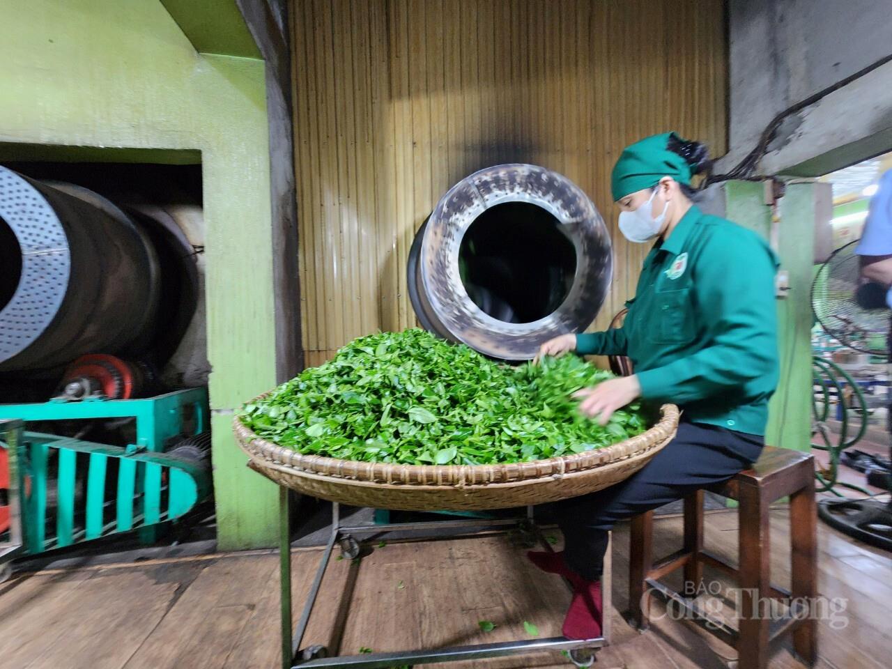 Sao chè tại Hợp tác xã chè Hảo Đạt - Thái Nguyên