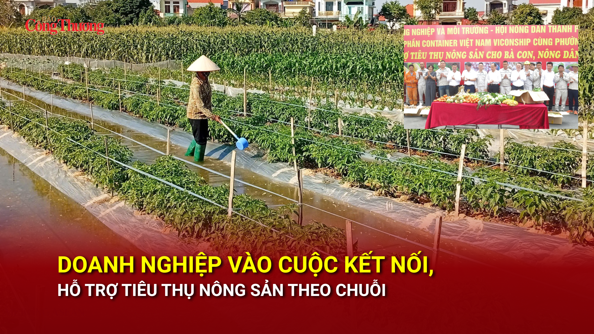 Okvip tại về vào cuộc kết nối, hỗ trợ tiêu thụ Trang Chủ OKVIP COM Top #1 theo chuỗi