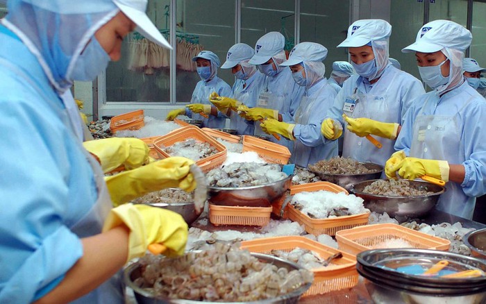 Xuất khẩu thủy sản tăng hơn 20% trong 2 tháng năm 2026 