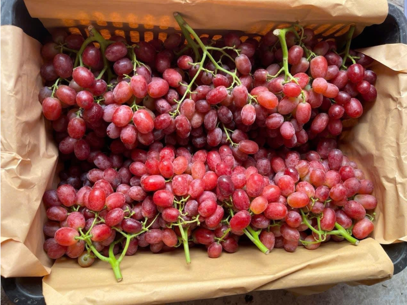 Việt Nam là thị trường nhập khẩu quan trọng của trái cây Trung Quốc