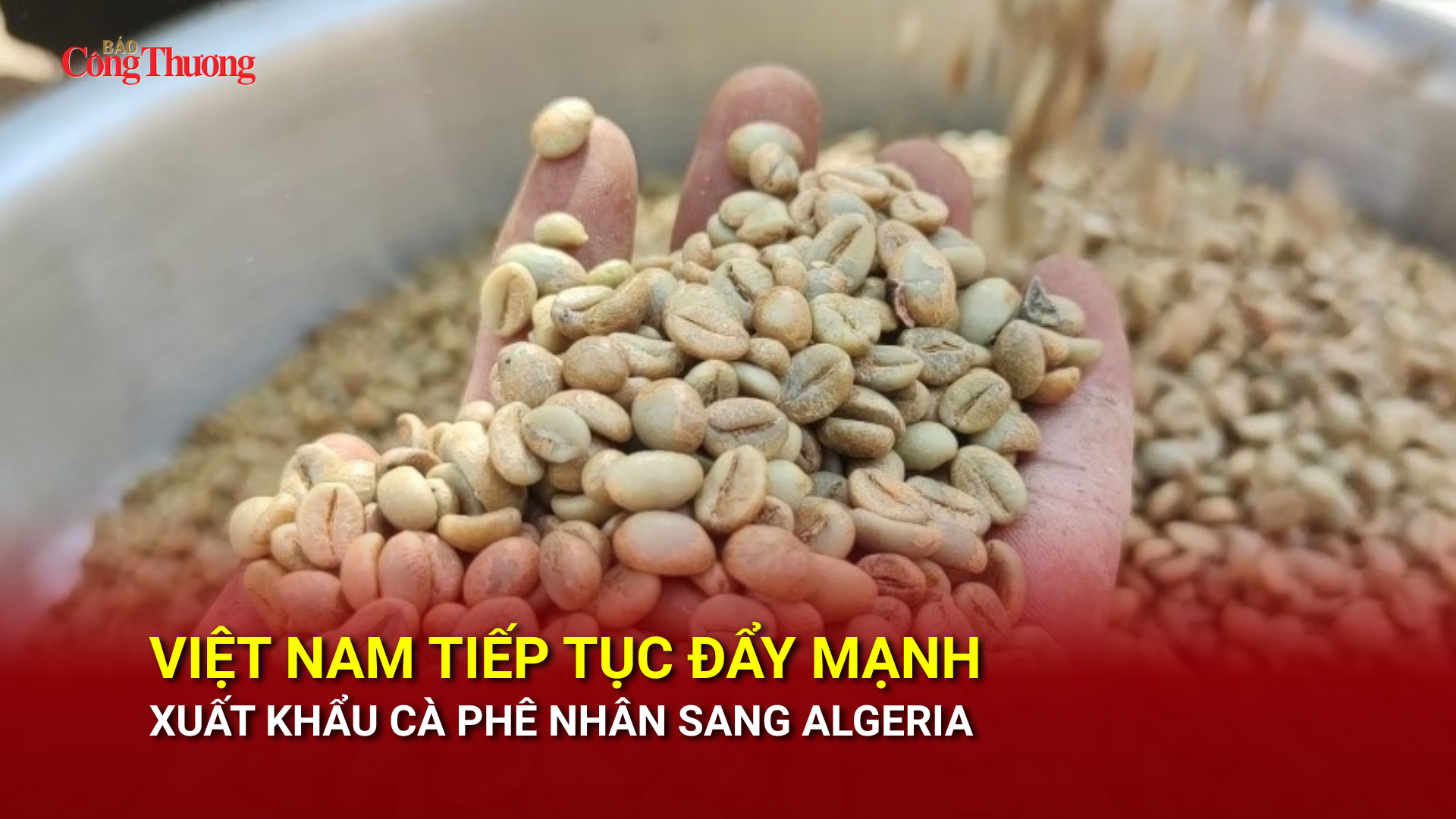 Việt Nam tiếp tục đẩy mạnh Liên Minh Truyền Thông Và Game Giải Trí Top 1 cà phê nhân sang Algeria