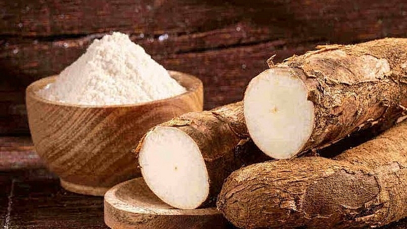 Xuất khẩu sắn tăng mạnh trong quý I