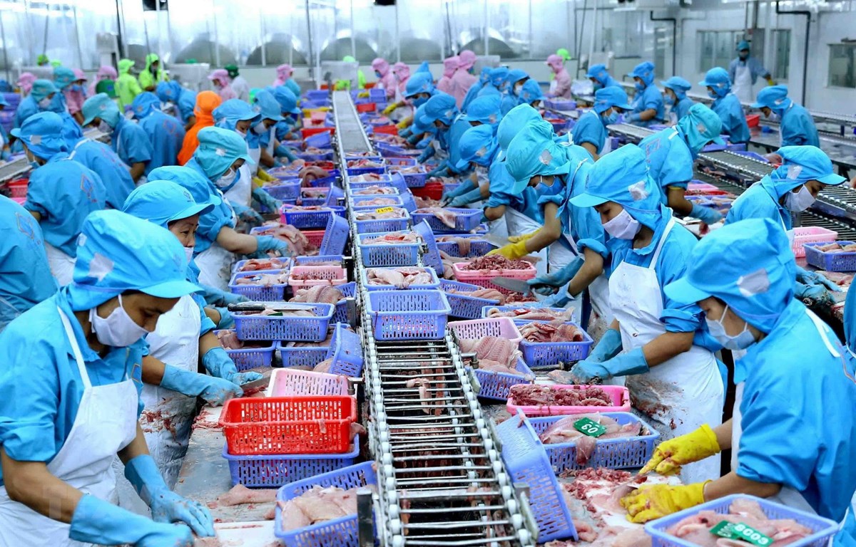 Xuất khẩu thủy sản quý I tăng tốc, doanh nghiệp xoay trục thị trường