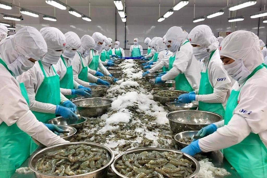 Việt Nam là thị trường cung cấp thủy sản lớn thứ năm cho Anh 