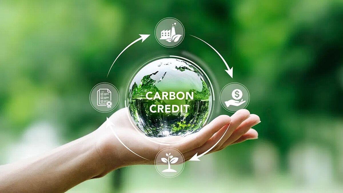 Hoàn thiện thể chế, thúc đẩy doanh nghiệp tham gia thị trường carbon