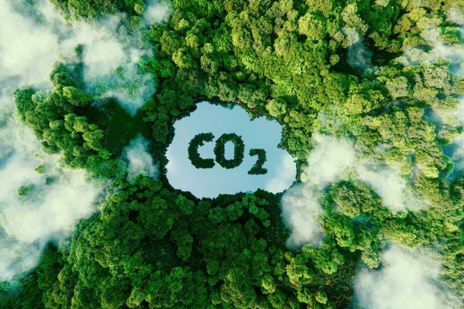 Các yếu tố đảm bảo vận hành sàn giao dịch tín chỉ carbon hiệu quả?