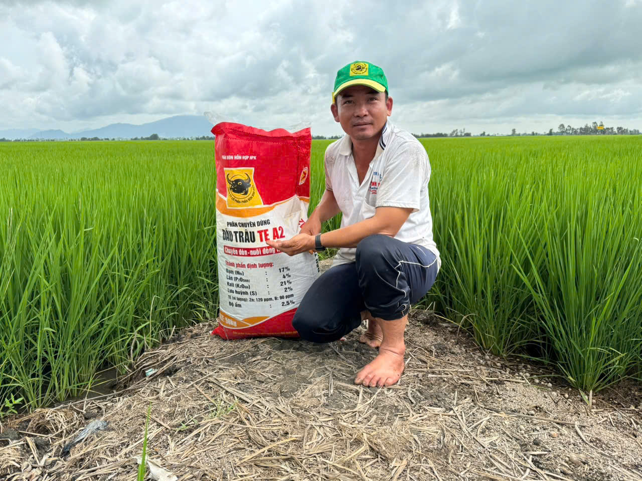 Bình Điền: Gieo nền tảng thương hiệu từ chiến lược xanh