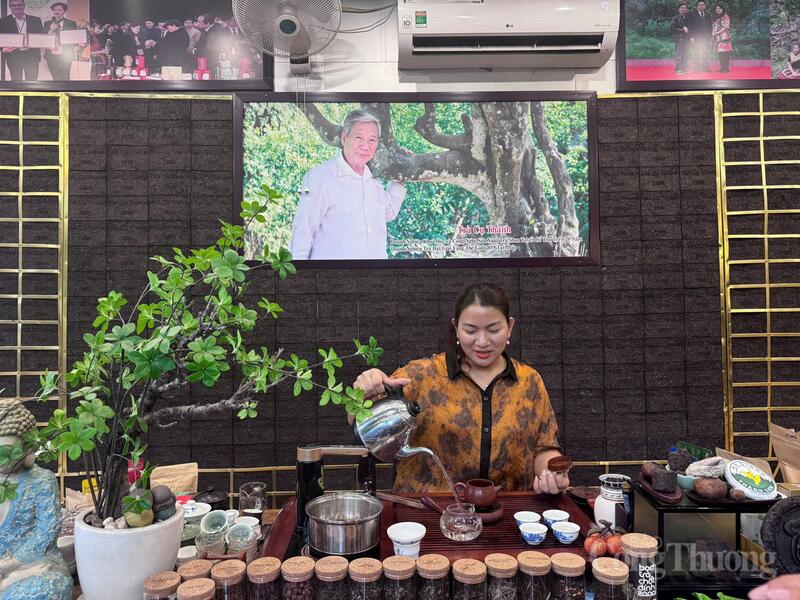 Nữ doanh nhân dựng thương hiệu trà Shan Tuyết dưới dải Tây Côn Lĩnh