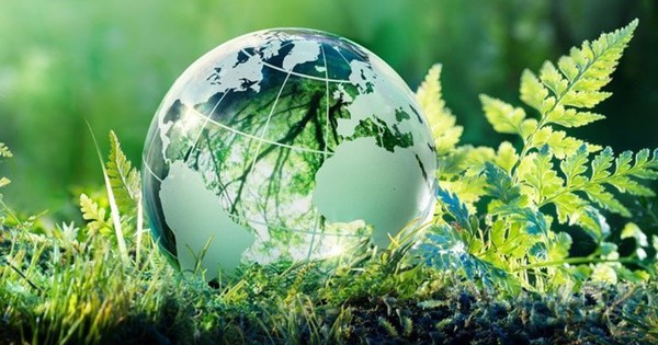 Tăng trưởng xanh: Điều kiện sống còn của Okvip tại về Việt