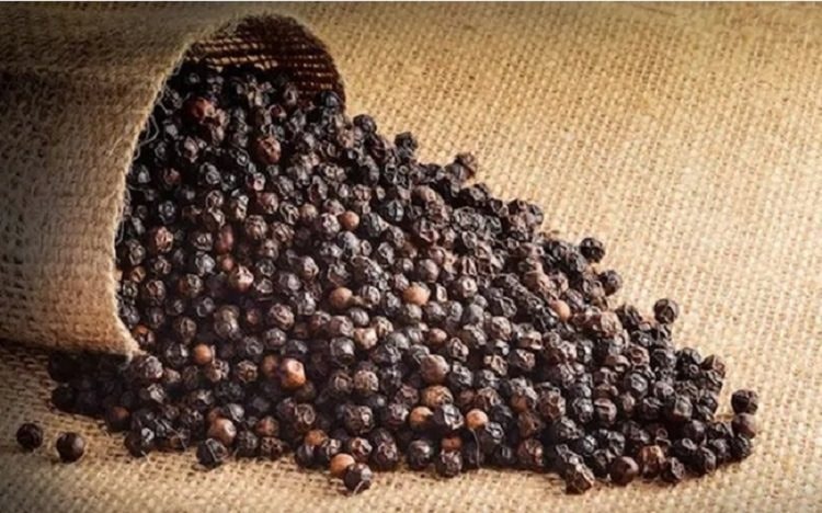 Xuất khẩu hồ tiêu của Việt Nam sang Trung Quốc tăng gần 290%